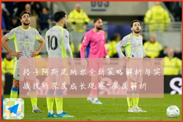 格斗阿斯皮纳尔全新策略解析与实战技巧深度成长观察-深度解析