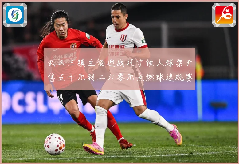 武汉三镇主场迎战辽宁铁人球票开售五十元到二六零元点燃球迷观赛数据研判-深度解析